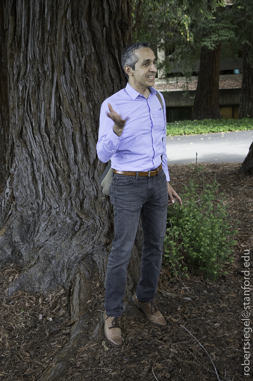 stanford tree walk 2019